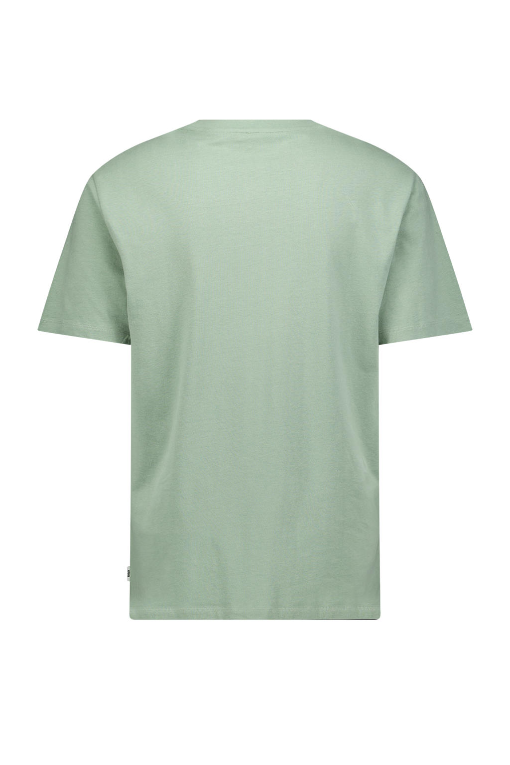 Lichtgroene heren America Today loose fit T-shirt van biologisch katoen met korte mouwen en ronde hals