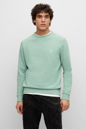 sweater light pastel green