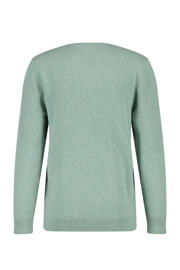 thumbnail: America Today gemÃªleerde trui van katoen soft green