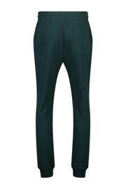 thumbnail: America Today regular fit joggingbroek groen