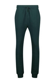 thumbnail: America Today regular fit joggingbroek groen