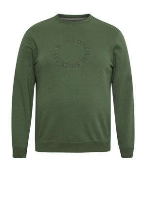 sweater Plus Size met printopdruk greener pastures
