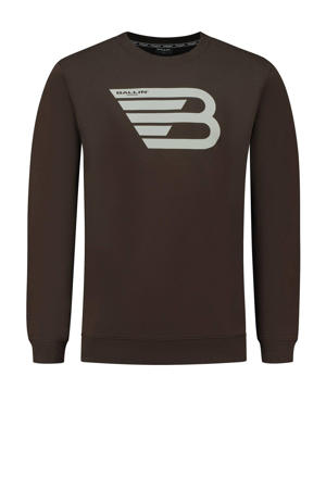 sweater van biologisch katoen brown