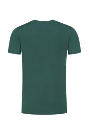 thumbnail: Ballin T-shirt met printopdruk faded green
