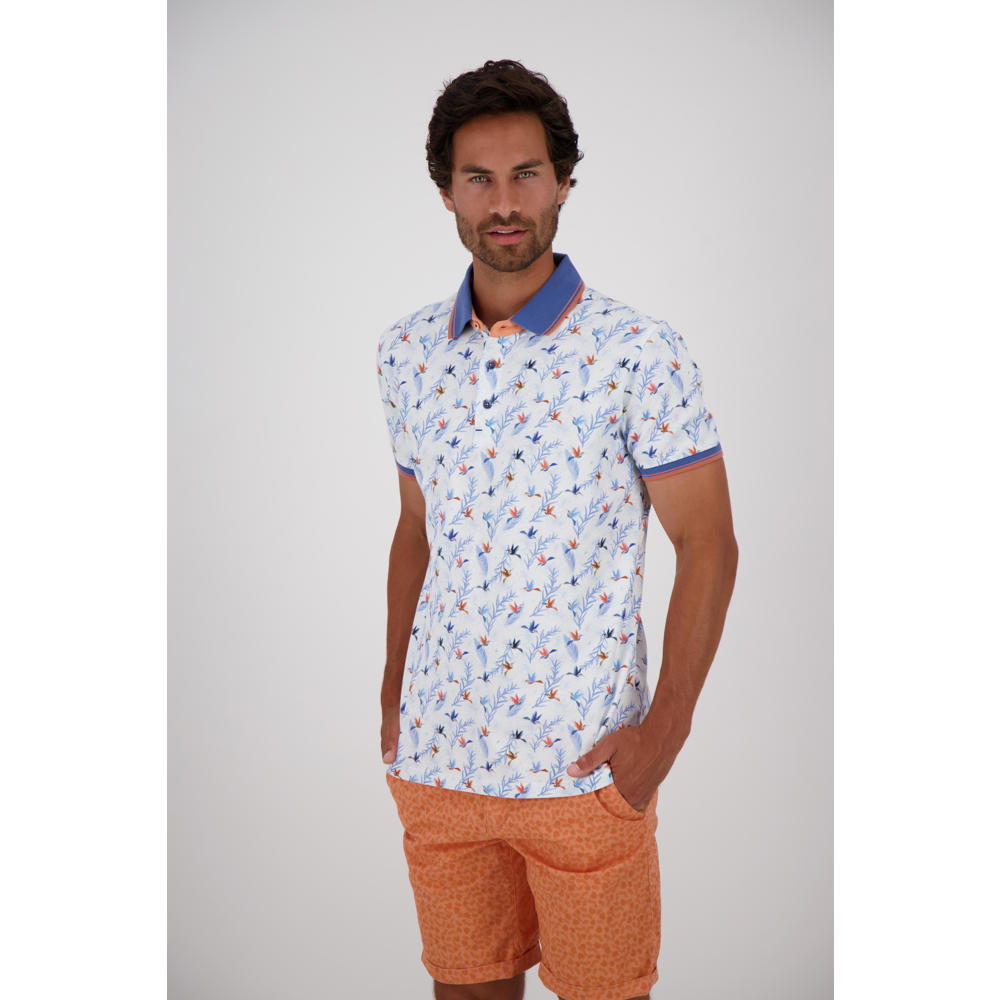 Multikleurige heren A fish named Fred polo colour met korte mouwen en klassieke kraag