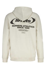 thumbnail: America Today hoodie Sylver met backprint kit
