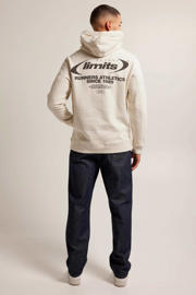 thumbnail: America Today hoodie Sylver met backprint kit