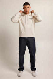 thumbnail: America Today hoodie Sylver met backprint kit