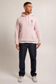thumbnail: America Today hoodie Sylver met backprint light pink