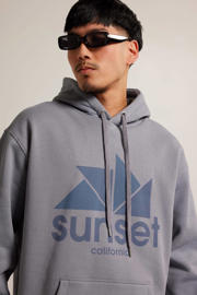 thumbnail: America Today hoodie Sen hood met printopdruk washed blue