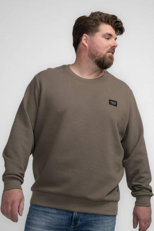 sweater bruin