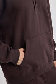 thumbnail: America Today hoodie bruin