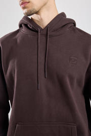 thumbnail: America Today hoodie bruin