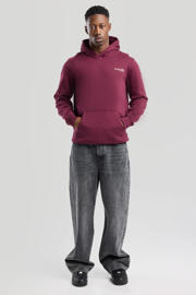 thumbnail: America Today hoodie rood