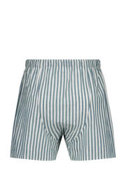thumbnail: America Today boxershort Thomas wit/groen
