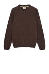 Chocolate Brown