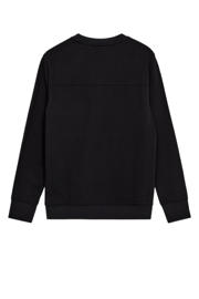 thumbnail: Anerkjendt sweater zwart