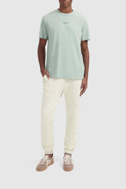 thumbnail: Lichtgroene heren Ballin T-shirt van katoen met backprint, korte mouwen en ronde hals