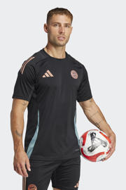 thumbnail: adidas Performance Senior FC Bayern München voetbalshirt