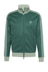 Groen/Lichtgroen