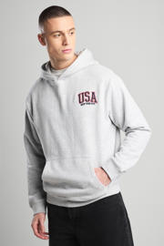 thumbnail: America Today hoodie grijs