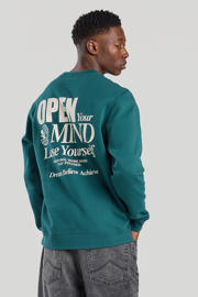 thumbnail: America Today sweater petrol
