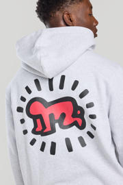 thumbnail: America Today hoodie grijs