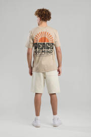 thumbnail: America Today regular T-shirt beige