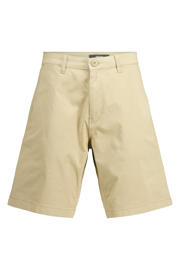 thumbnail: America Today regular chino short bruin