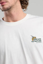 thumbnail: America Today regular T-shirt wit