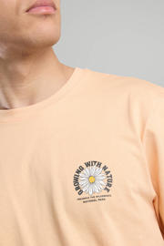 thumbnail: America Today regular T-shirt zalm