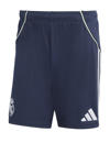 Donkerblauw