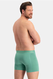 thumbnail: Bamboo Basics boxershort Rico (set van 3)