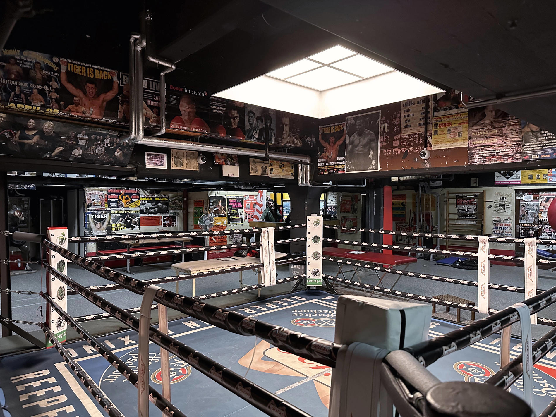 Top Teaser Lite - Inspiratie - Lifestyle - 12 - SS23 - Alles over UFC